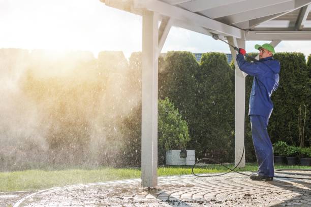 Best Fence Cleaning  in Fruita, CO
