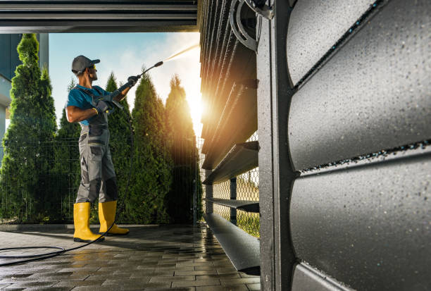 Best Driveway Pressure Washing  in Fruita, CO